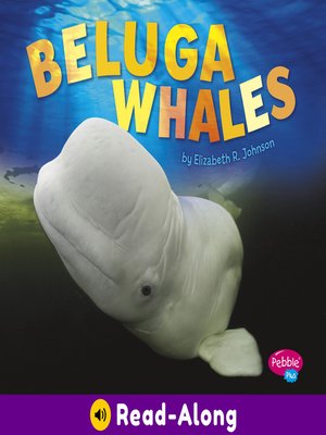 cover image of Beluga Whales